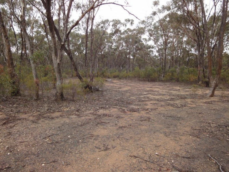 Lot 14, 101 Bill Mollison Drive, Axedale VIC 3551