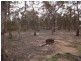 Lot 14, 101 Bill Mollison Drive, Axedale VIC 3551