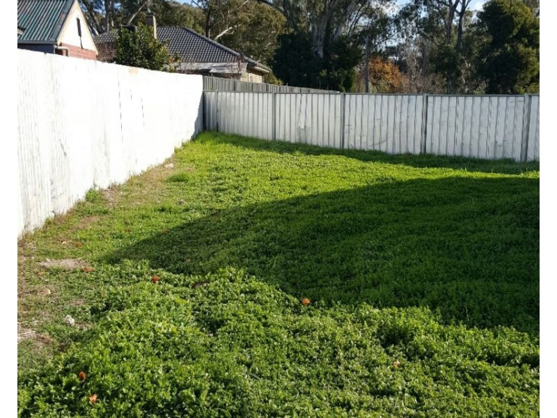 553 Napier Street, White Hills VIC 3550