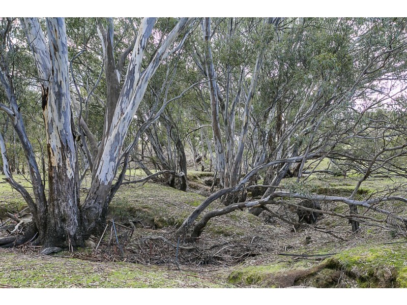 20 Roberts Road, Eppalock VIC 3551