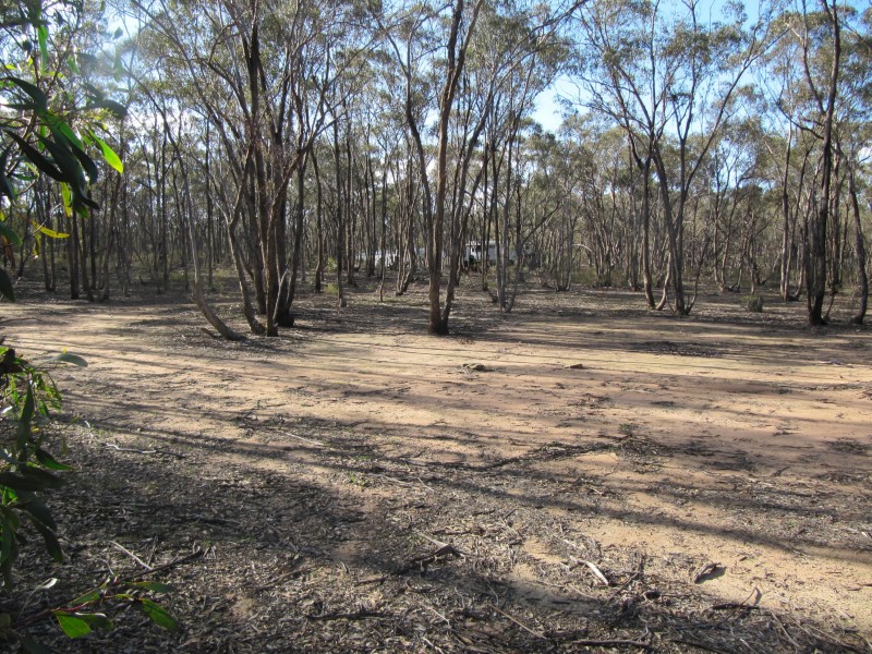 lot 16 Bill Mollison Drive, Axedale VIC 3551