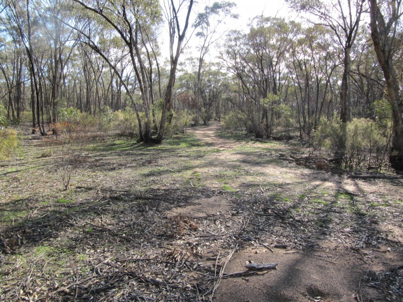 lot 16 Bill Mollison Drive, Axedale VIC 3551