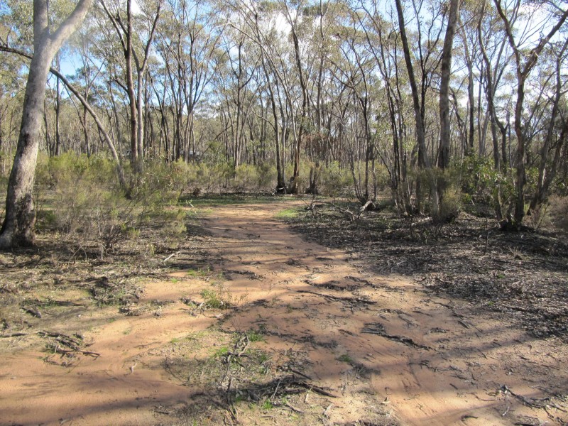 lot 16 Bill Mollison Drive, Axedale VIC 3551