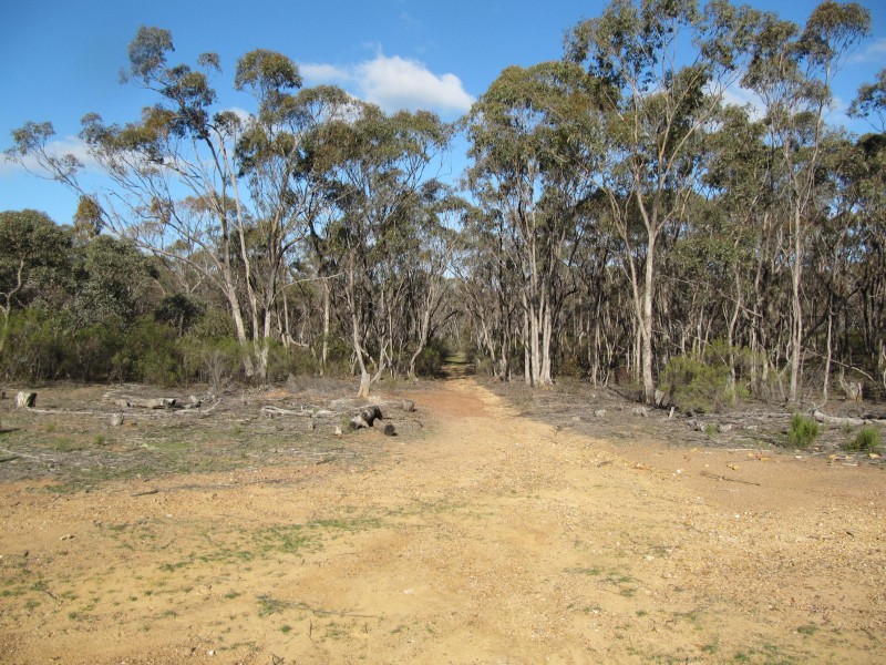 lot 16 Bill Mollison Drive, Axedale VIC 3551