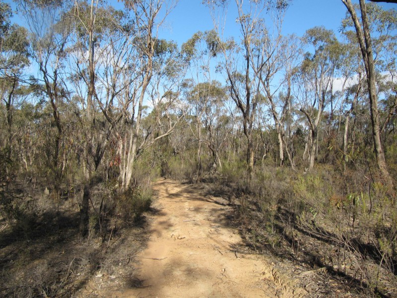 lot 16 Bill Mollison Drive, Axedale VIC 3551