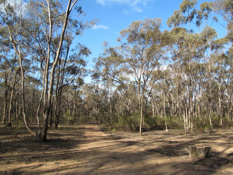 lot 16 Bill Mollison Drive, Axedale VIC 3551