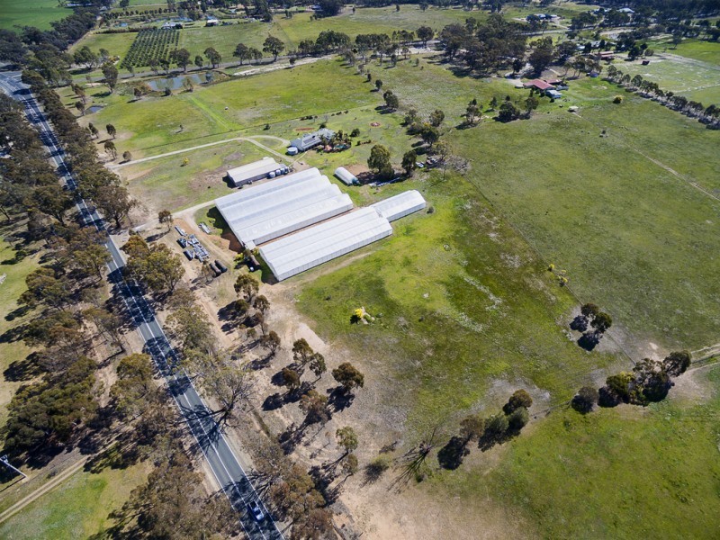 667 Epsom-Barnadown Road, Bagshot VIC 3551