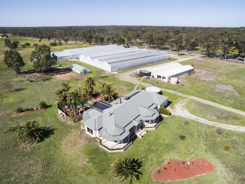 667 Epsom-Barnadown Road, Bagshot VIC 3551