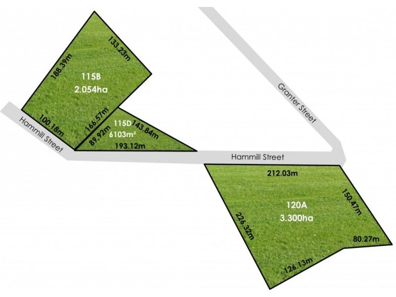 Lot 115B, 81 Hammill Street, Kangaroo Flat VIC 3555