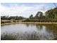 870 Sedgwick Road, Sedgwick VIC 3551