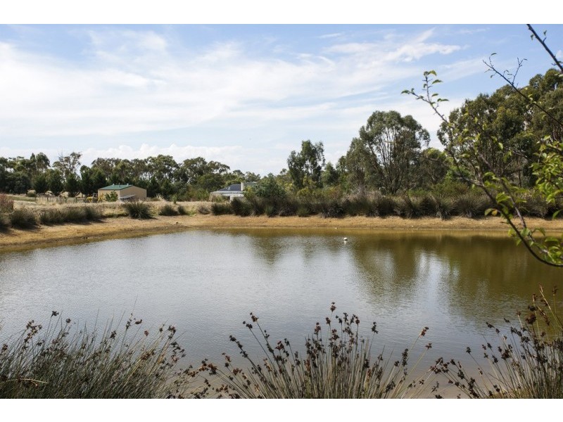 870 Sedgwick Road, Sedgwick VIC 3551