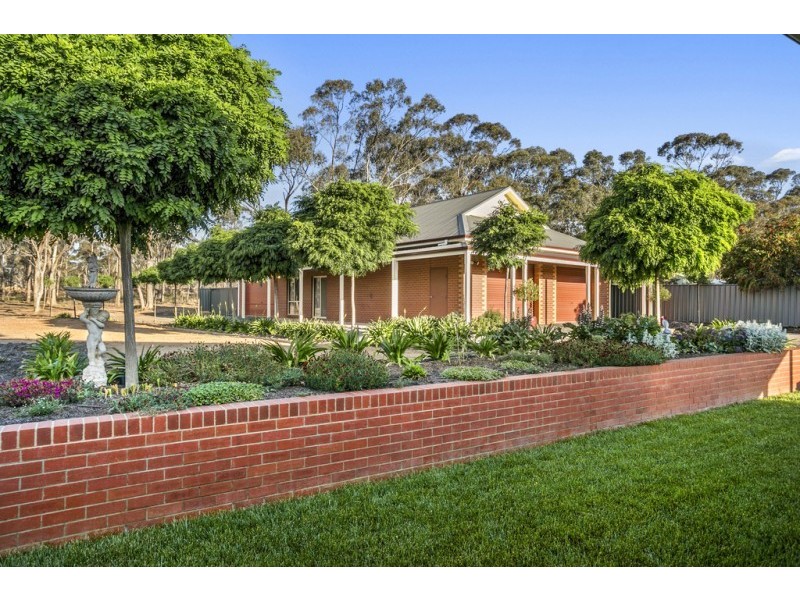 15 Conboy Court, Ascot VIC 3551