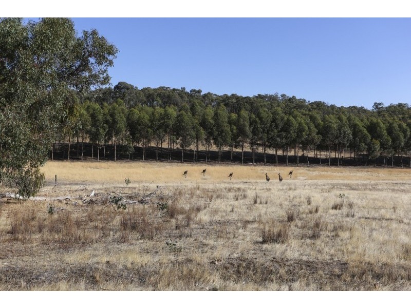 312 Mandurang South Road, Mandurang South VIC 3551