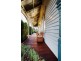 497 Napier Street, Bendigo VIC 3550