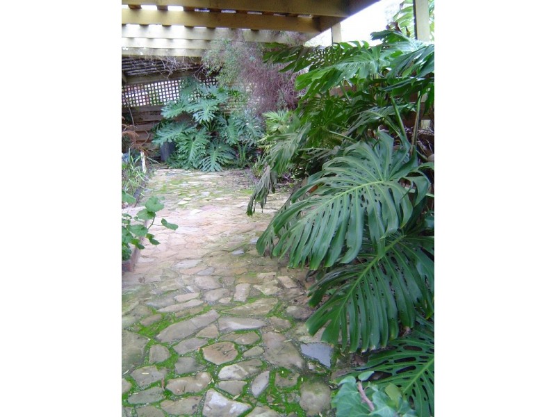 2/8 Biggs Court, Flora Hill VIC 3550