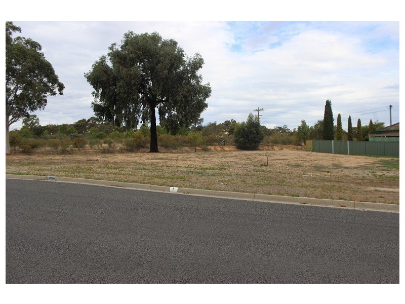 1 Cambridge Crescent, White Hills VIC 3550