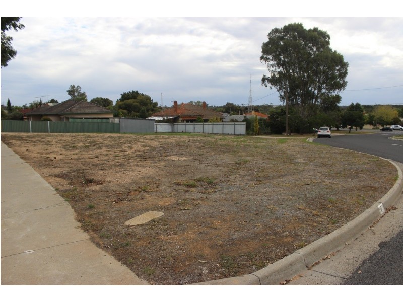 1 Cambridge Crescent, White Hills VIC 3550