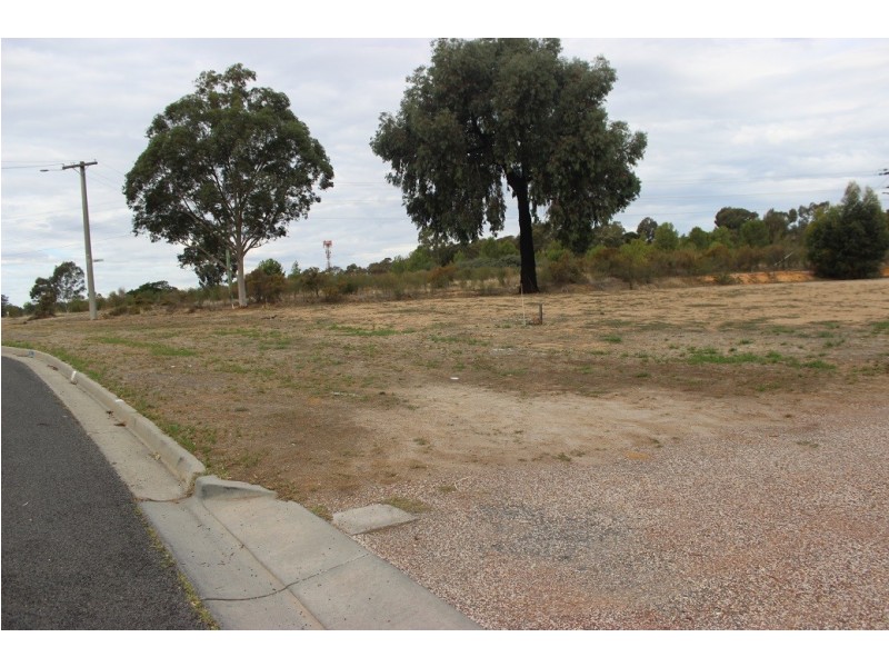 1 Cambridge Crescent, White Hills VIC 3550