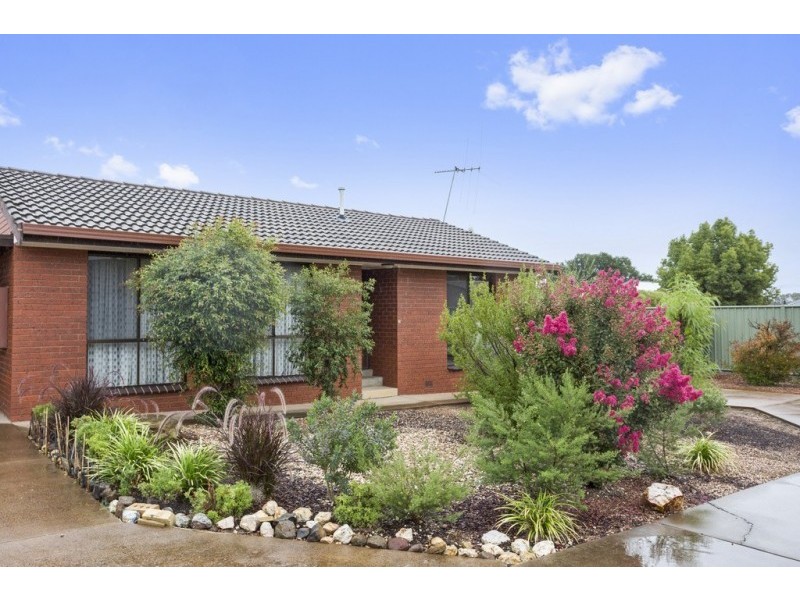 3/115 Bobs Street, White Hills VIC 3550