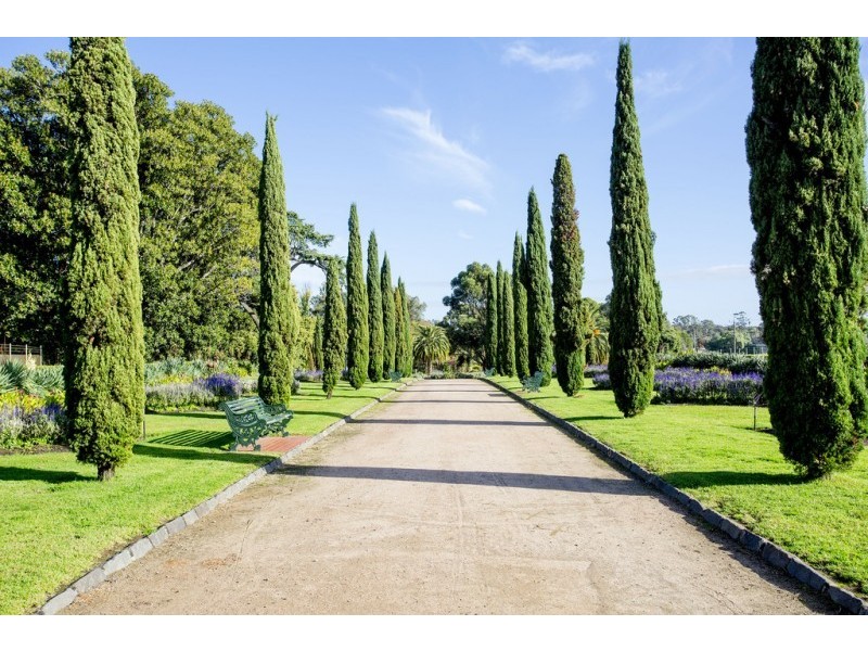 6 Scott Street, White Hills VIC 3550