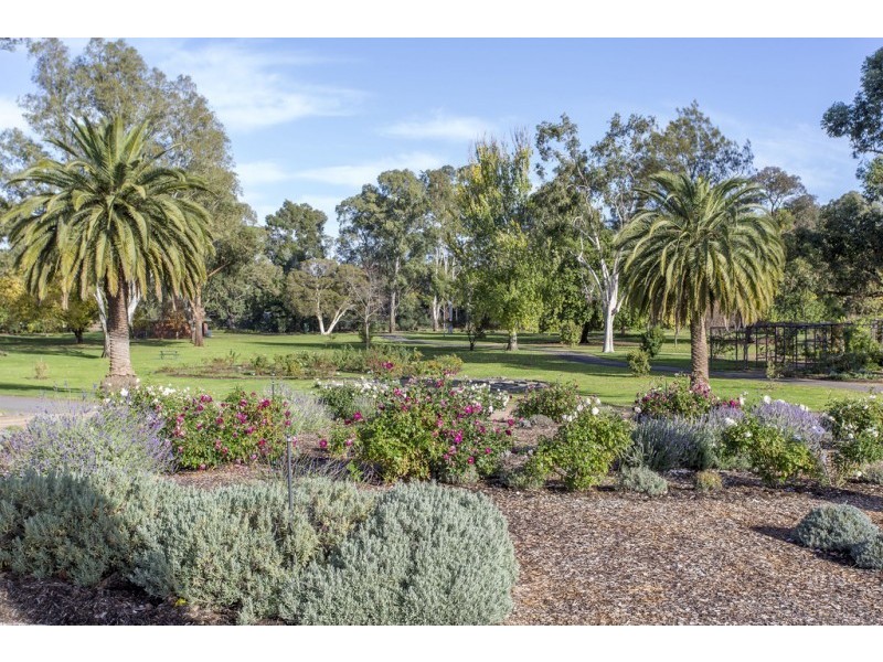 6 Scott Street, White Hills VIC 3550