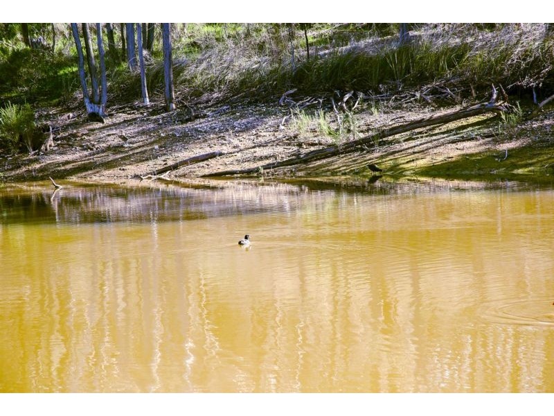 89 Queen Street, Mandurang South VIC 3551