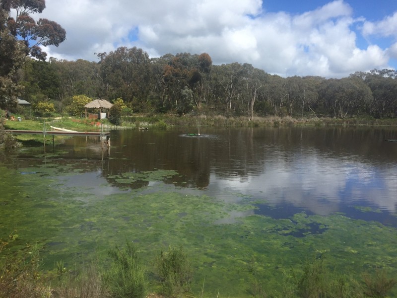 89 Queen Street, Mandurang South VIC 3551