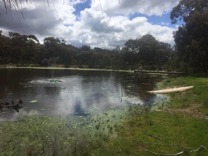 89 Queen Street, Mandurang South VIC 3551