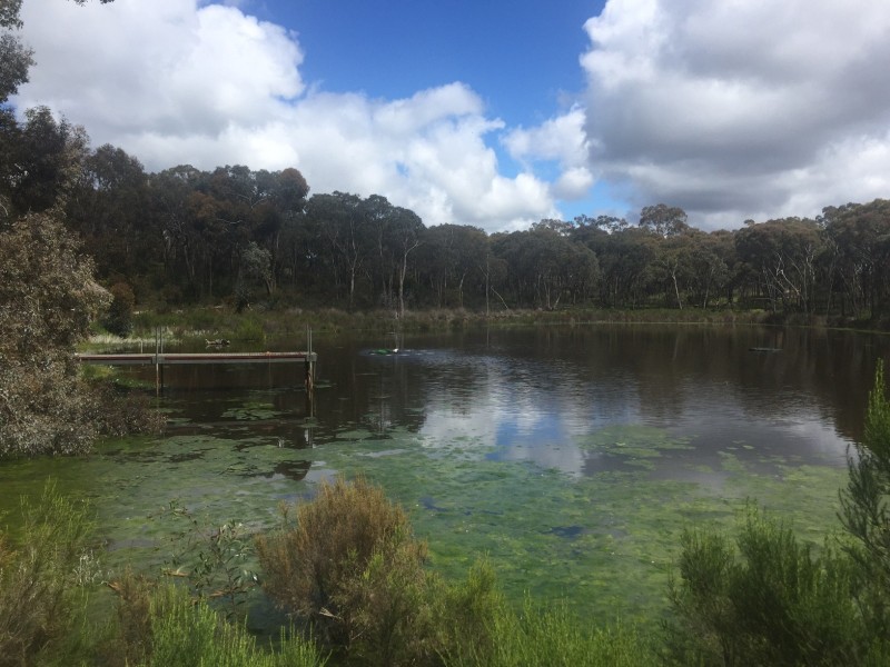 89 Queen Street, Mandurang South VIC 3551