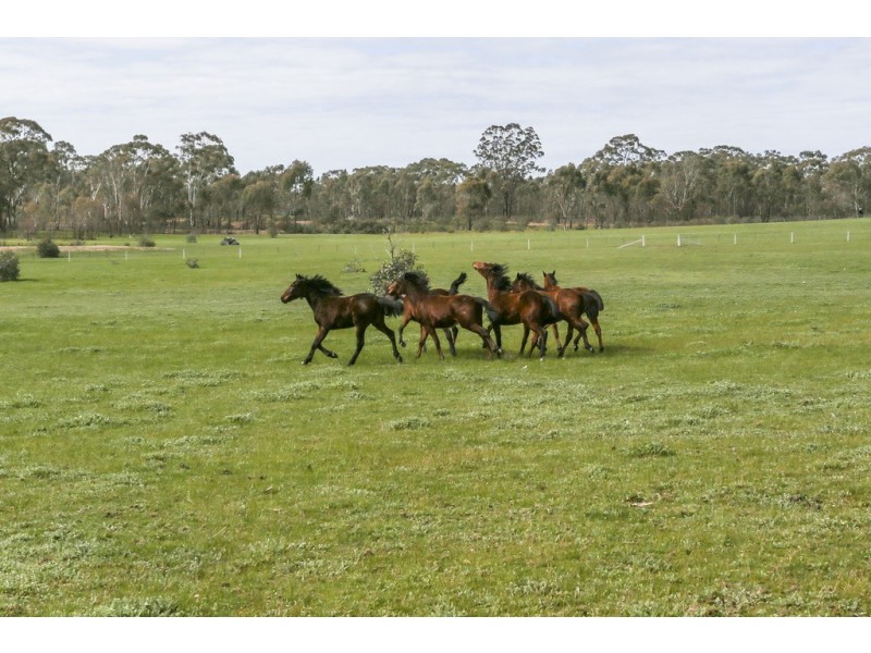 Lot 4, 1 Bowles Road, Strathfieldsaye VIC 3551