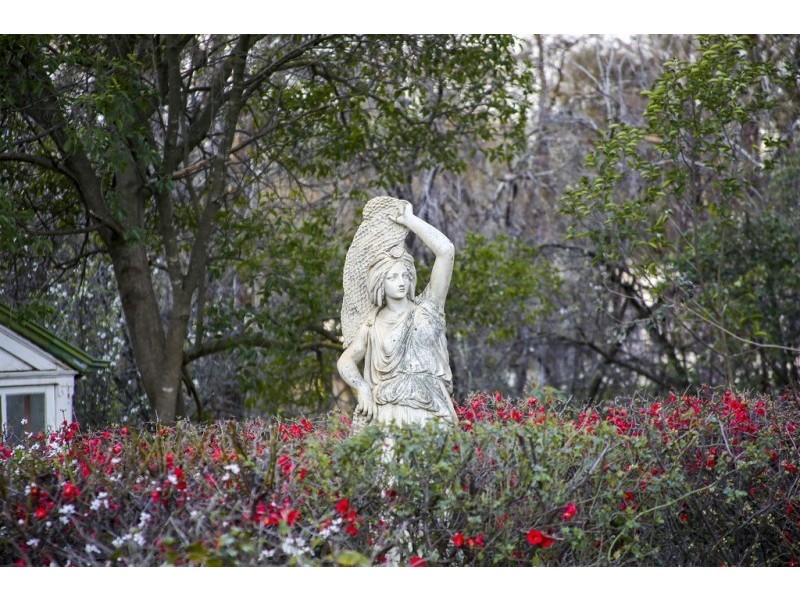 20 Steane Street, Bendigo VIC 3550