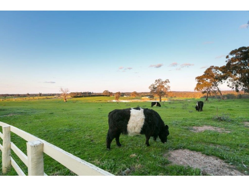 44 Hildebrandt Rise, Axe Creek VIC 3551