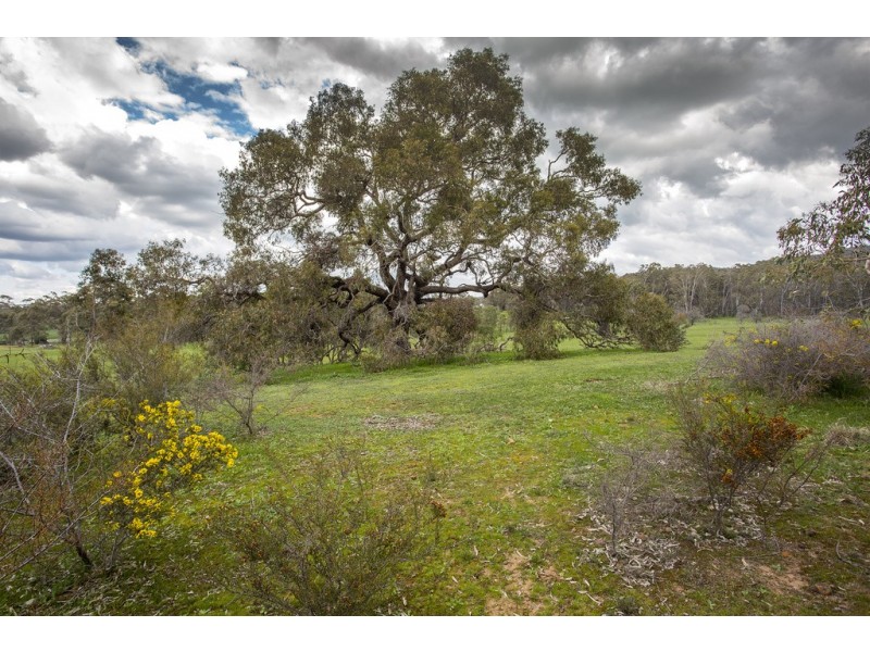 362 Mandurang South Road, Mandurang South VIC 3551