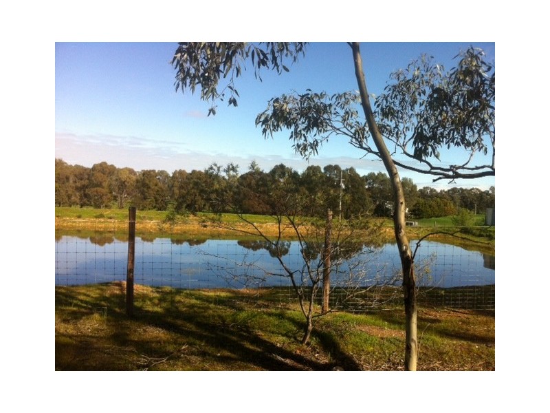 215 Schumakers Lane, Maiden Gully VIC 3551