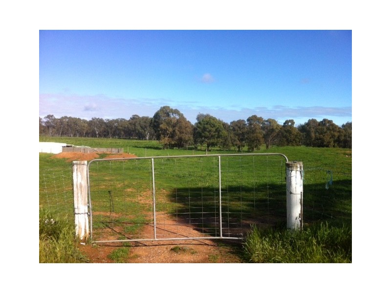 215 Schumakers Lane, Maiden Gully VIC 3551