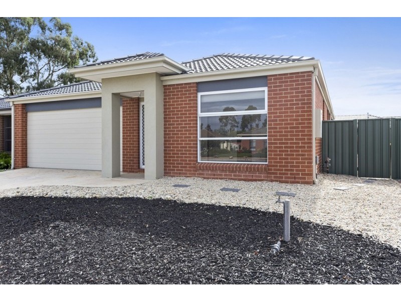 5 Arrawalli Avenue, Ascot VIC 3551