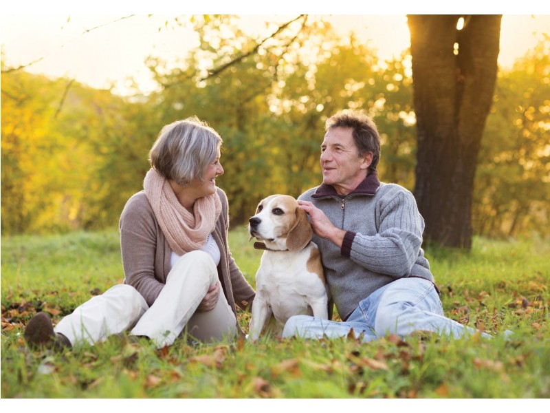 134-166 Aspinall Street, Golden Square VIC 3555