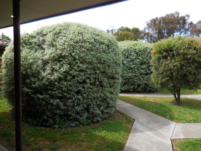 4/71 Mollison Street, Bendigo VIC 3550