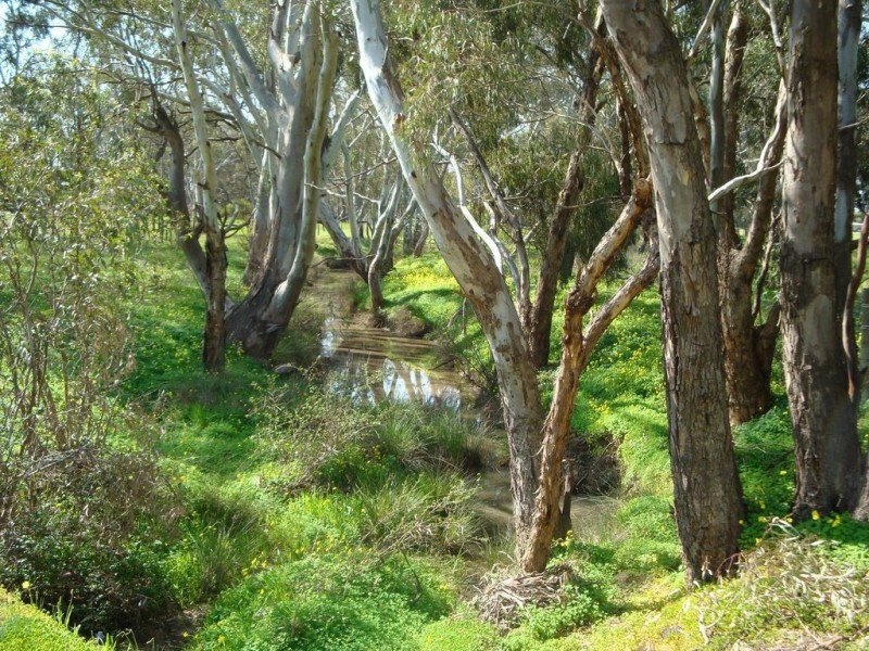 Lot 2, 1 Huntly Park – Corner Burgoyne & Brunel Streets, Huntly VIC 3551