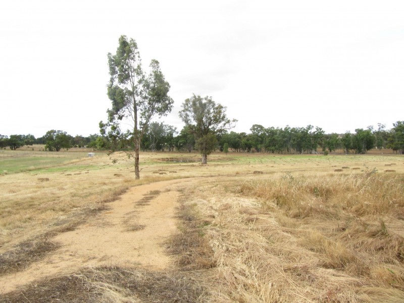 167 Hamilton Way, Lockwood South VIC 3551