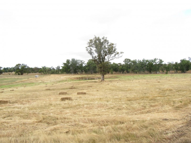 167 Hamilton Way, Lockwood South VIC 3551