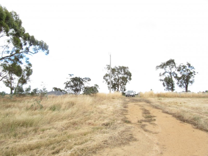 167 Hamilton Way, Lockwood South VIC 3551