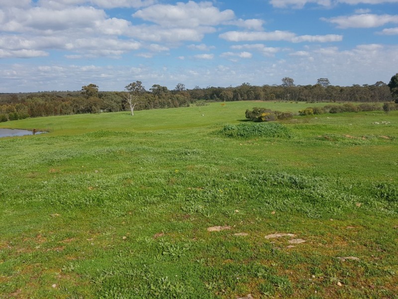 240 Giris Road, Longlea VIC 3551
