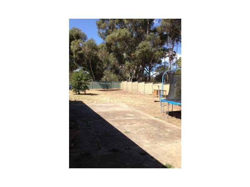 53 Condon Street, Bendigo VIC 3550