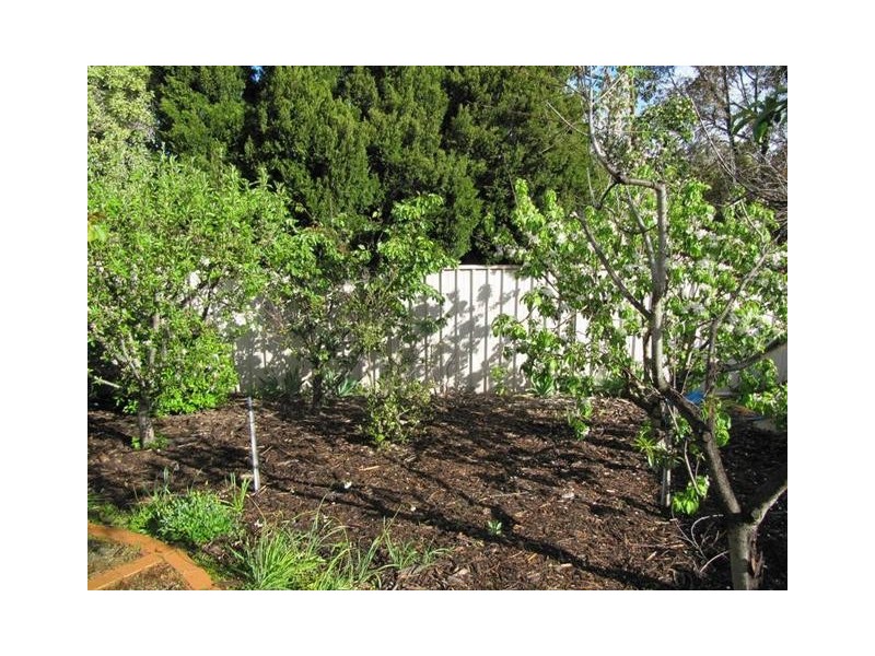 1 Opal Court, Strathdale VIC 3550