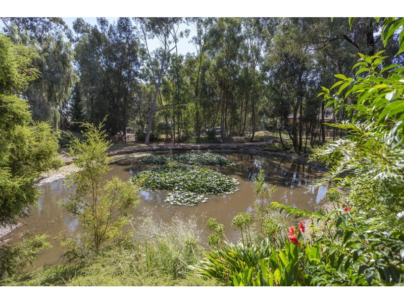 3 Birch Grove, Strathdale VIC 3550