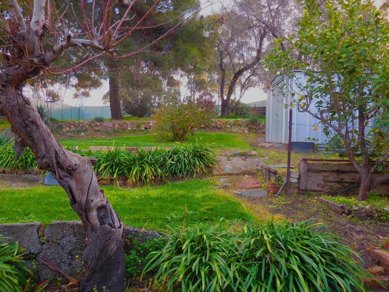 63 Maple Street, Golden Square VIC 3555
