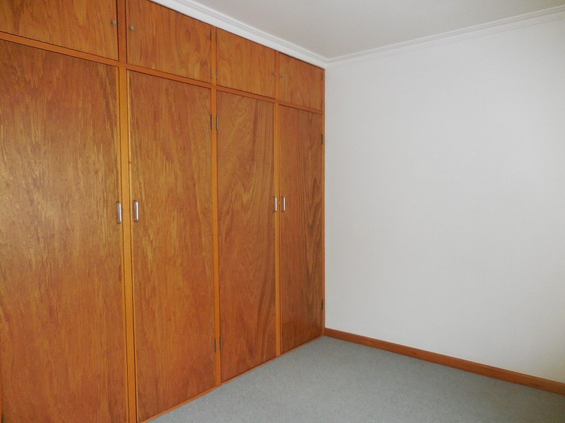 492 Napier Street, White Hills VIC 3550