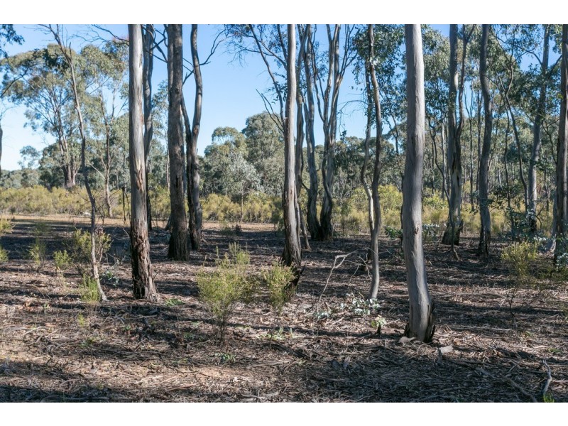111 Coliban Pool Road, Kimbolton VIC 3551
