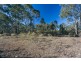111 Coliban Pool Road, Kimbolton VIC 3551